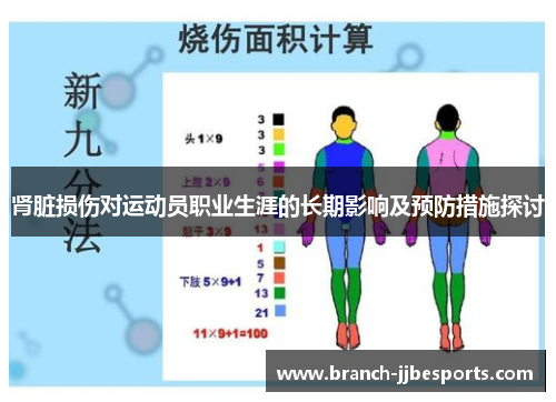 肾脏损伤对运动员职业生涯的长期影响及预防措施探讨 肾脏损伤对运动员职业生涯的长期影响及预防措施探讨