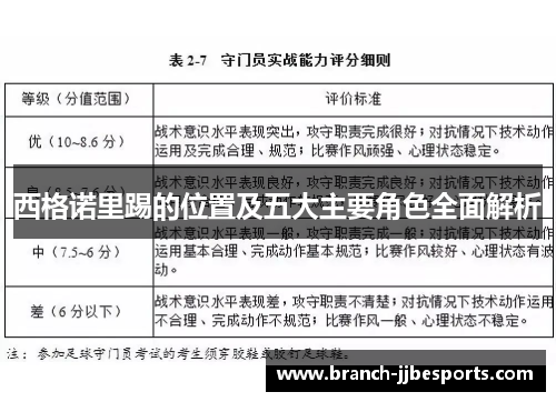 西格诺里踢的位置及五大主要角色全面解析