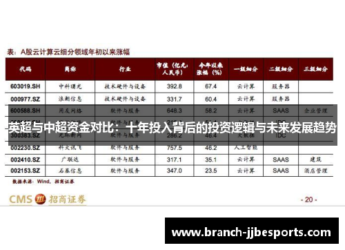 英超与中超资金对比：十年投入背后的投资逻辑与未来发展趋势