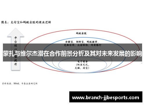 蒙扎与维尔杰潜在合作前景分析及其对未来发展的影响 蒙扎与维尔杰潜在合作前景分析及其对未来发展的影响