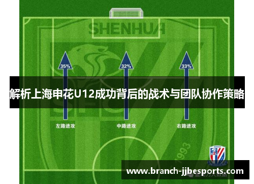 解析上海申花U12成功背后的战术与团队协作策略