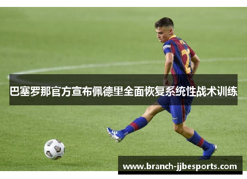 巴塞罗那官方宣布佩德里全面恢复系统性战术训练 巴塞罗那官方宣布佩德里全面恢复系统性战术训练