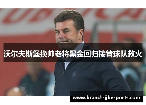 沃尔夫斯堡换帅老将黑金回归接管球队救火 沃尔夫斯堡换帅老将黑金回归接管球队救火
