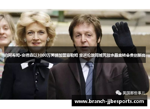 约阿希姆·安德森以3000万英镑加盟富勒姆 重返伦敦同城死敌水晶宫转会费创新高