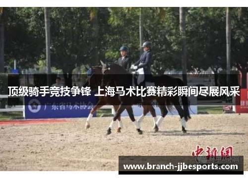 顶级骑手竞技争锋 上海马术比赛精彩瞬间尽展风采