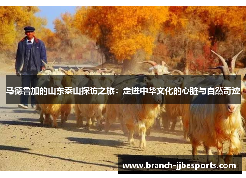 马德鲁加的山东泰山探访之旅：走进中华文化的心脏与自然奇迹