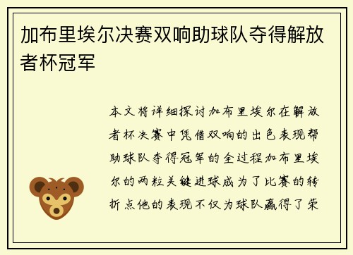 加布里埃尔决赛双响助球队夺得解放者杯冠军